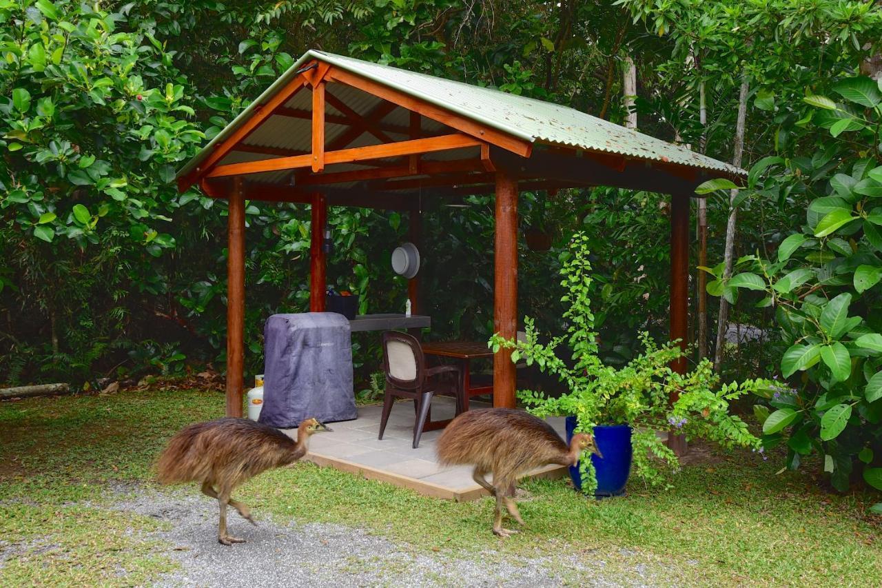 Thornton Beach Bungalows Daintree Cape Tribulation Luaran gambar
