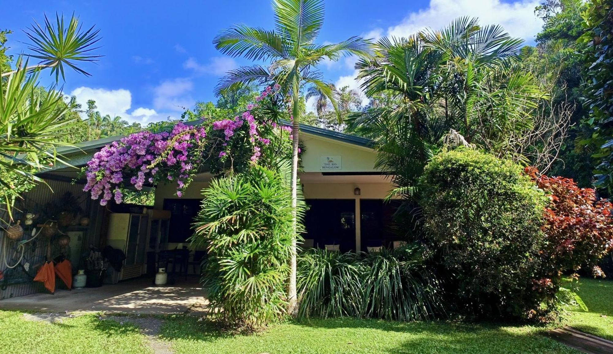 Thornton Beach Bungalows Daintree Cape Tribulation Luaran gambar